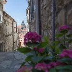 Mama Marija